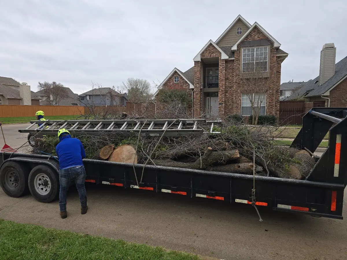 Expert Crown Reduction with proper safety equipment in Panola